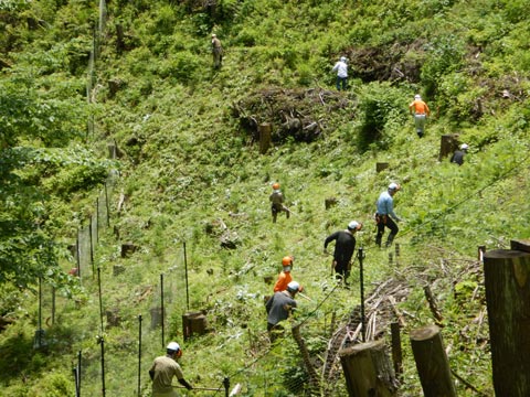 東京アプリ イメージ7